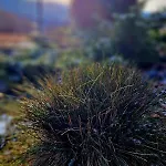 Widokowo - Z Widokiem Na Sniezke Z Jacuzzi I Sauna *