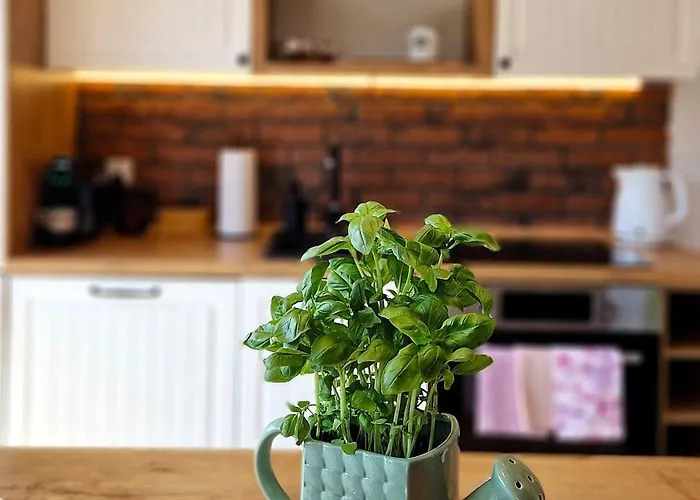 Widokowo - Z Widokiem Na Sniezke Z Jacuzzi I Sauna Chalet *